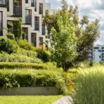 Limontera Develop 150x150